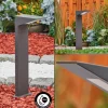 Borne lumineuse Matlava LED Anthracite, 1 lumière