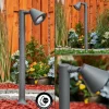 Borne lumineuse Milond Anthracite, 1 lumière