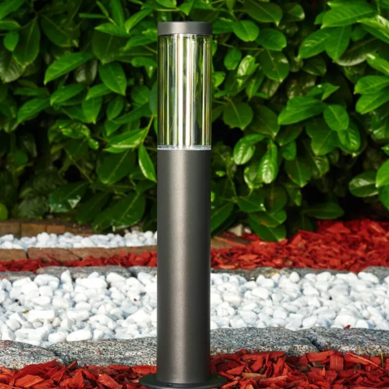 Borne lumineuse Noreaz LED Anthracite, 1 lumière