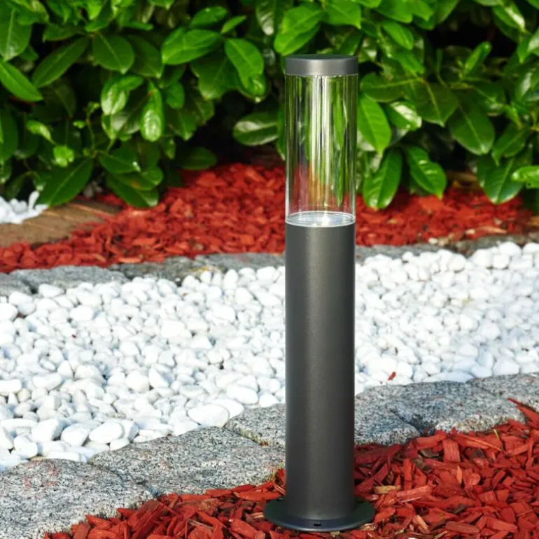 Borne lumineuse Noreaz LED Anthracite, 1 lumière