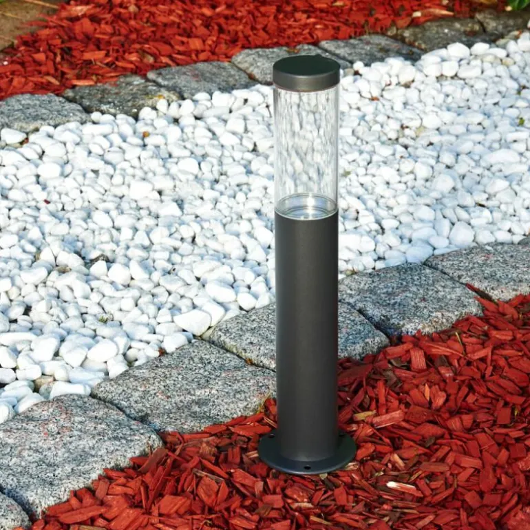 Borne lumineuse Noreaz LED Anthracite, 1 lumière