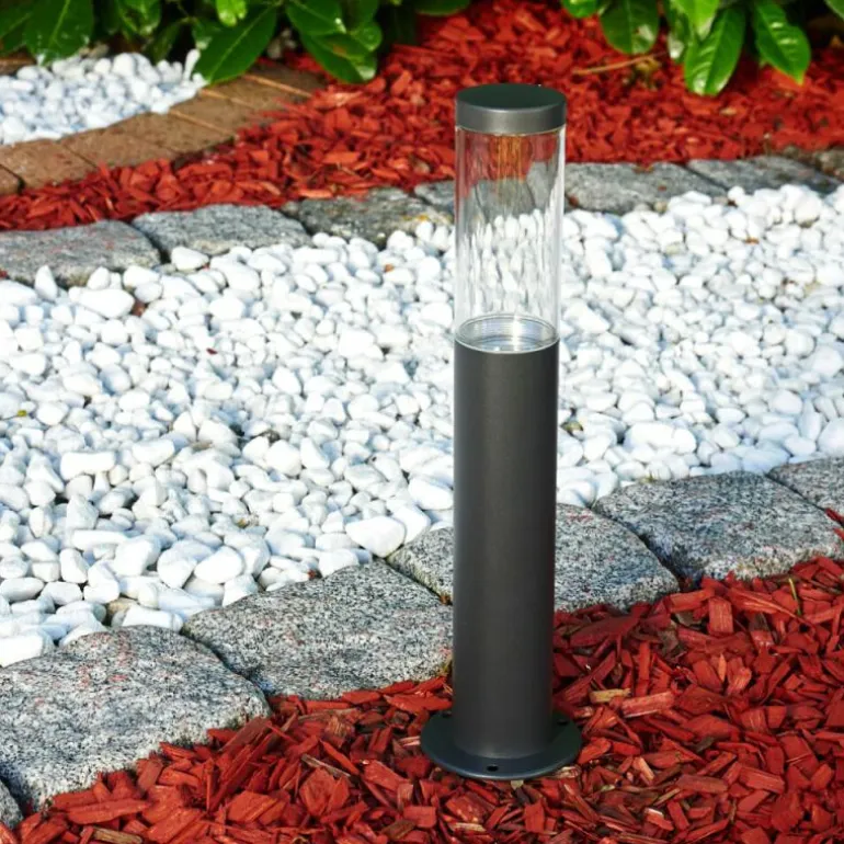 Borne lumineuse Noreaz LED Anthracite, 1 lumière