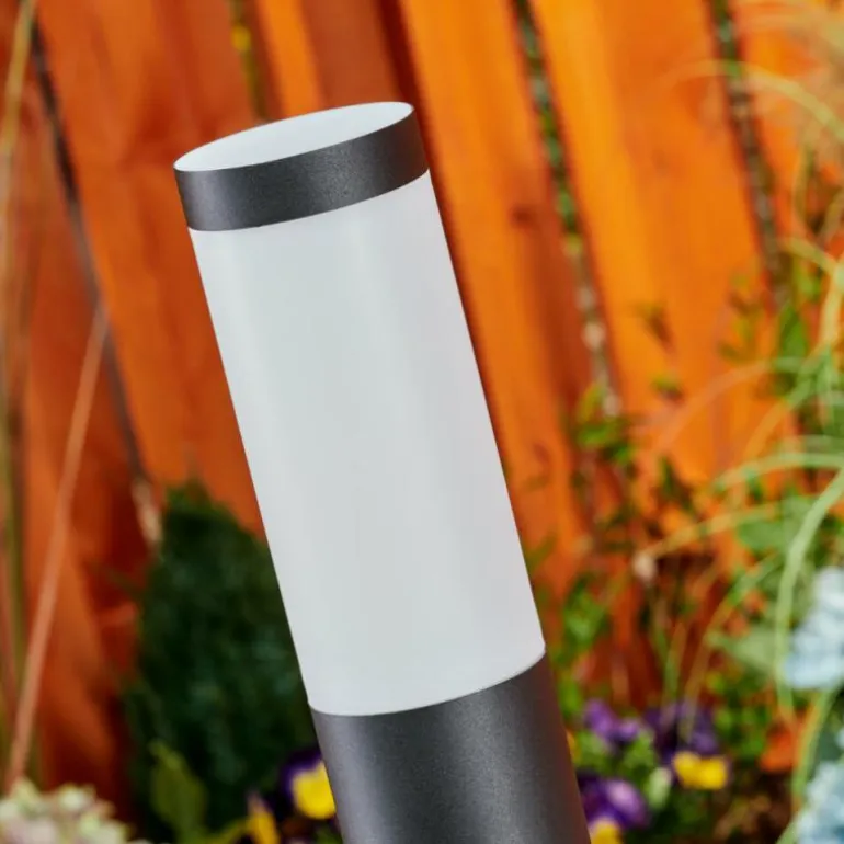 Borne lumineuse Ruti Noir, 1 lumière