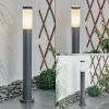 Borne lumineuse Sessa Anthracite, 1 lumière