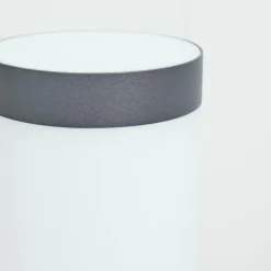 Borne lumineuse Sessa Anthracite, 1 lumière