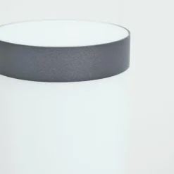 Borne lumineuse Sessa Anthracite, 1 lumière
