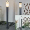 Borne lumineuse Sessa Anthracite, 1 lumière