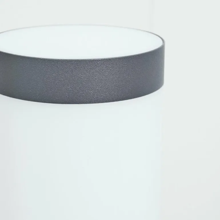 Borne lumineuse Sessa Anthracite, 1 lumière
