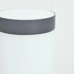 Borne lumineuse Sessa Anthracite, 1 lumière