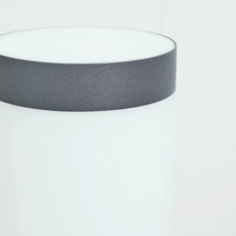 Borne lumineuse Sessa Anthracite, 1 lumière