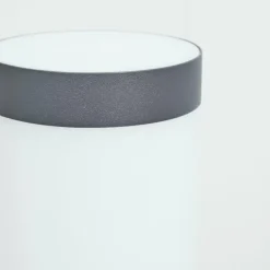 Borne lumineuse Sessa Anthracite, 1 lumière