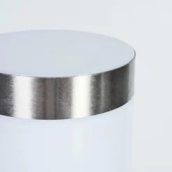 Borne lumineuse Sessa Nickel mat, 1 lumière