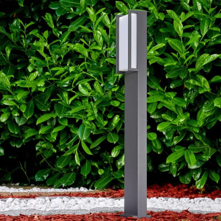 Borne lumineuse Skove LED Anthracite, 1 lumière