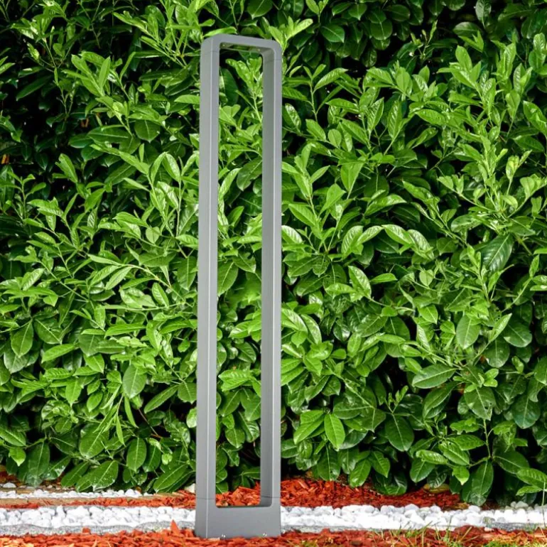 Borne lumineuse Watford LED Anthracite, 1 lumière