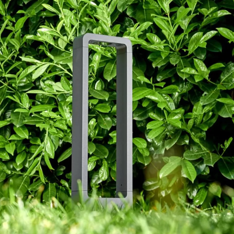 Borne lumineuse Watford LED Anthracite, 1 lumière