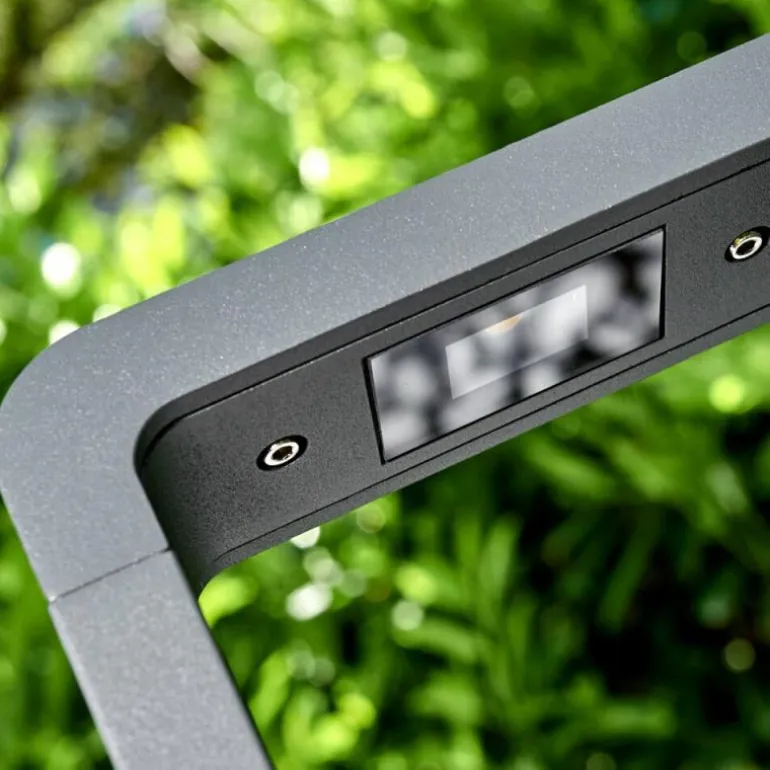 Borne lumineuse Watford LED Anthracite, 1 lumière
