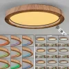 Bosatorp Plafonnier LED Noir, 1 lumière, Télécommandes