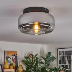 Boza Plafonnier, Boule lumineuse Chrome, Clair, Fumé, 1 lumière
