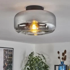 Boza Plafonnier Chrome, Clair, Fumé, 1 lumière