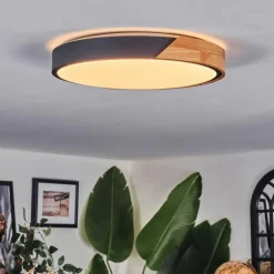 Cadaixo Plafonnier, Panel LED Blanc, 1 lumière, Télécommandes