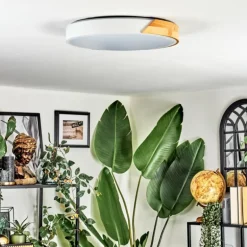 Cadaixo Plafonnier, Panel LED Blanc, 1 lumière, Télécommandes