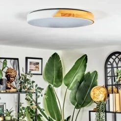 Cadaixo Plafonnier, Panel LED Blanc, 1 lumière, Télécommandes