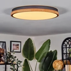 Cadaixo Plafonnier, Panel LED Blanc, 1 lumière, Télécommandes