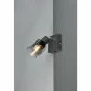 Cadiz Spot de plafond Luminaires Reality Anthracite, 1 lumière