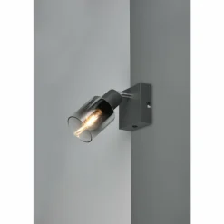 Cadiz Spot de plafond Luminaires Reality Anthracite, 1 lumière