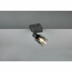 Cadiz Spot de plafond Luminaires Reality Anthracite, 1 lumière