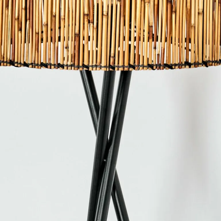 Cando Lampadaire, Liseuse Noir, 1 lumière