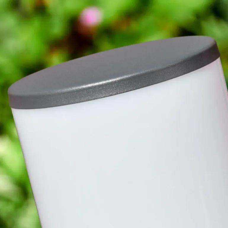 Caserta Lampe à prise électrique, Eclairage de chemin Anthracite, 1 lumière