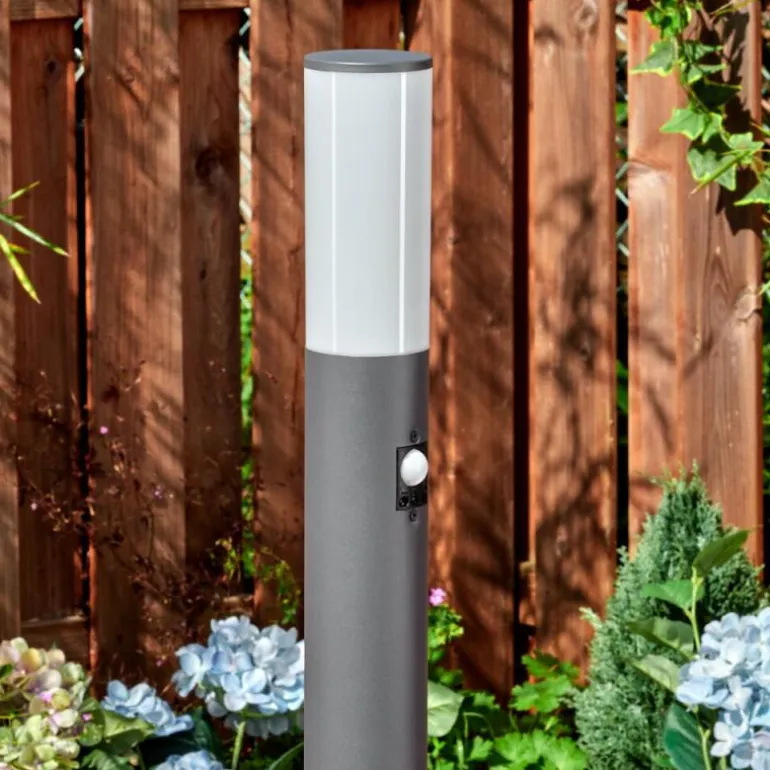 Caserta Lampe à prise électrique, Eclairage de chemin Anthracite, 1 lumière, Détecteur de mouvement