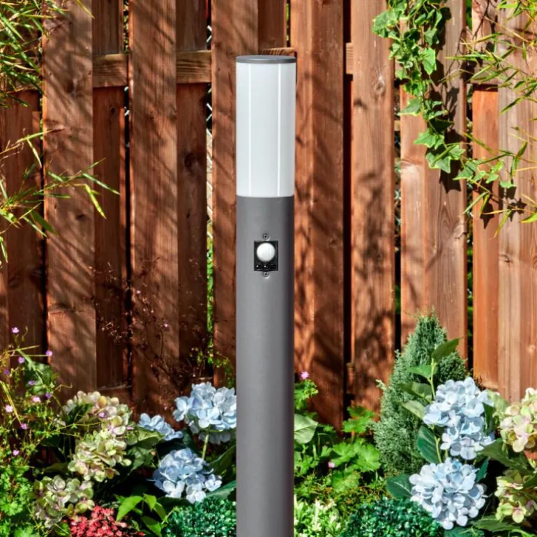 Caserta Lampe à prise électrique, Eclairage de chemin Anthracite, 1 lumière, Détecteur de mouvement