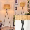 Cavaca Lampadaire Noir, 1 lumière
