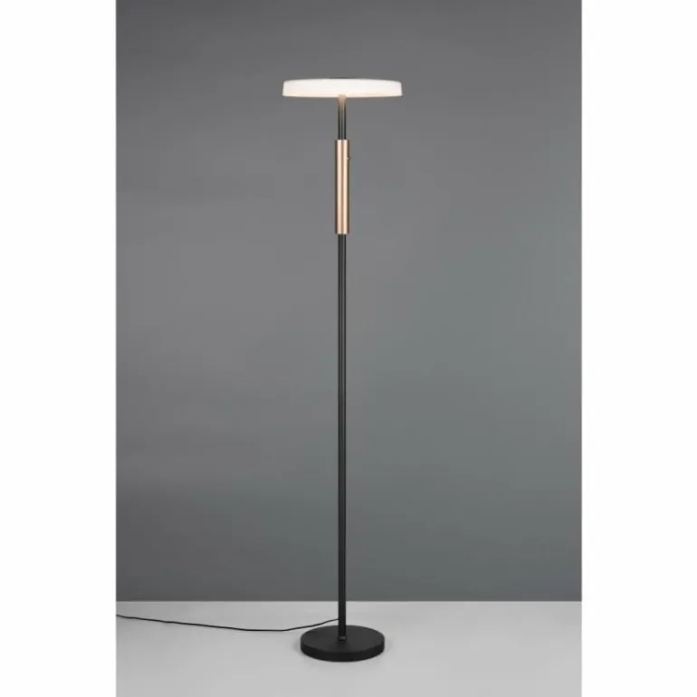 Celeste Lampadaire Luminaires Trio LED Brun, 1 lumière