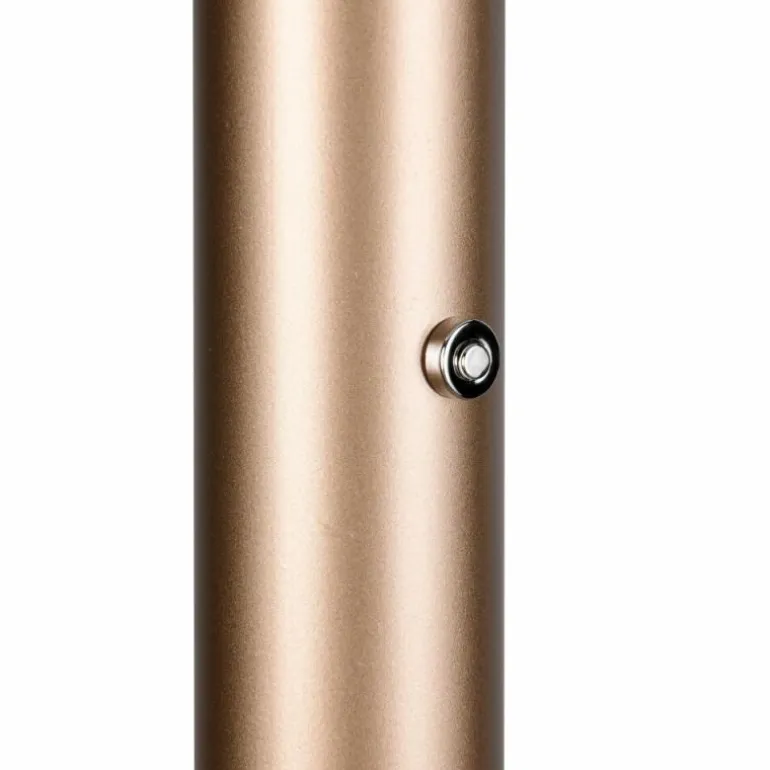 Celeste Lampadaire Luminaires Trio LED Brun, 1 lumière