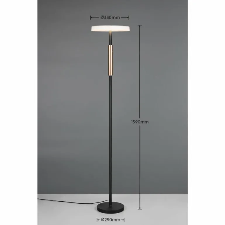 Celeste Lampadaire Luminaires Trio LED Brun, 1 lumière