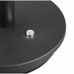 Celeste Lampe à poser Luminaires Trio LED Brun, 1 lumière