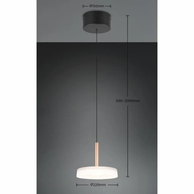 Celeste Suspension Luminaires Trio LED Brun, 1 lumière