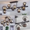 Chehalis Plafonnier, Boule lumineuse Chrome, Fumé, 8 lumières