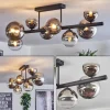 Chehalis Plafonnier, Boule lumineuse Chrome, Clair, Fumé, 8 lumières