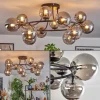 Chehalis Plafonnier, Boule lumineuse Fumé, 12 lumières