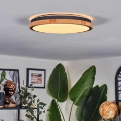 Coentral Plafonnier, Panel LED Blanc, 1 lumière, Télécommandes