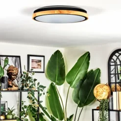 Coentral Plafonnier, Panel LED Blanc, 1 lumière, Télécommandes
