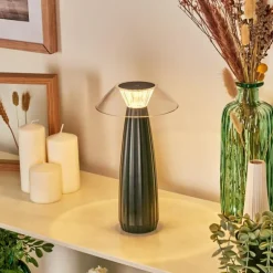 Eryla Lampe de bureau, Lampe à poser LED Noir, 1 lumière