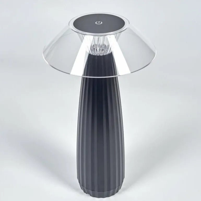 Eryla Lampe de bureau, Lampe à poser LED Noir, 1 lumière