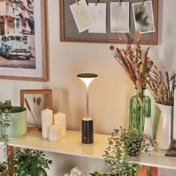 Eryon Lampe de bureau, Lampe à poser LED Noir, Blanc, 1 lumière