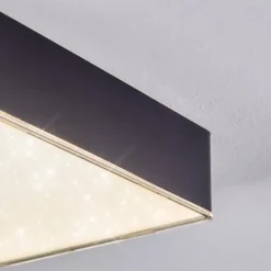 Esmar Plafonnier LED Noir, 1 lumière