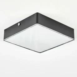 Esmar Plafonnier LED Noir, 1 lumière